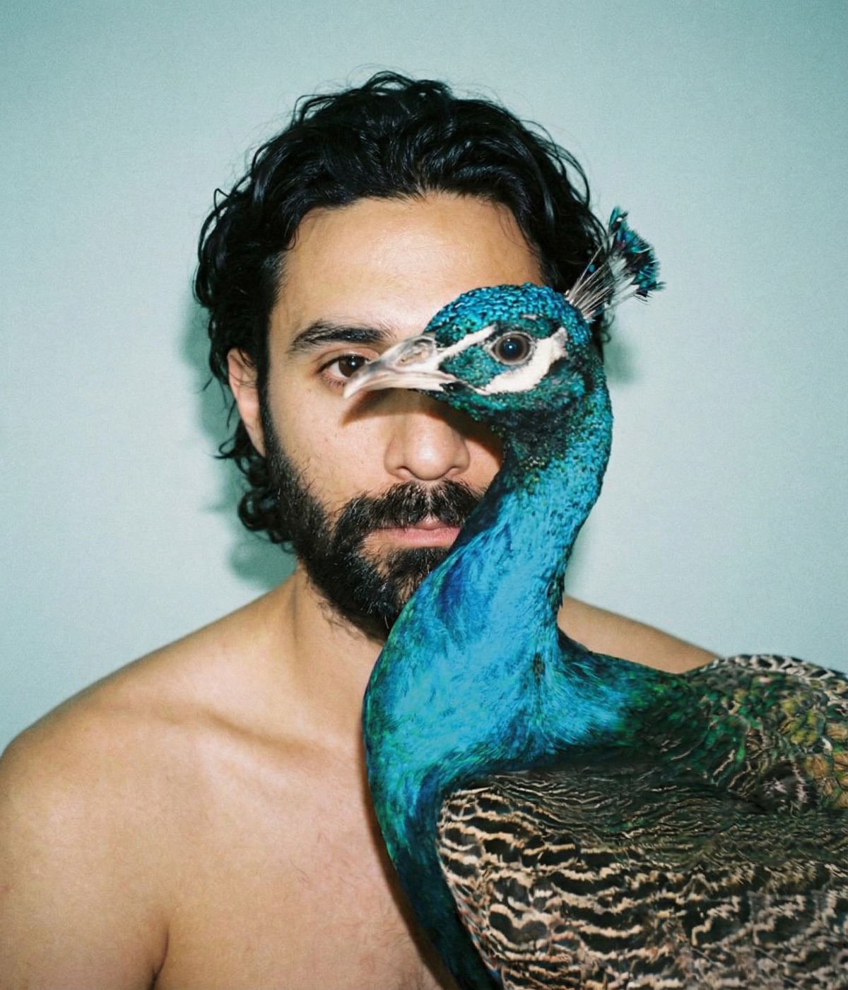 Amos Le Blanc shirtless with a peacock's blue neck crossing over his face